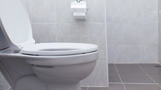 Thumbnail for How To Accurately Pee | HowToBasic