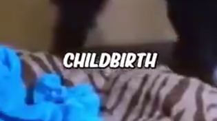 Thumbnail for Chimp Thought She Had Lost Baby During Child Birth, Vets Revived It