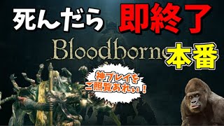 Thumbnail for 【本番】かつて一度も油断した事が無い男の 死んだら即終了のブラッドボーン【Bloodborne】 | 愛の戦士チャンネル