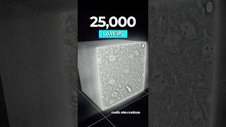 Thumbnail for Scientists Create the World's Largest Brain Map | Dr Ben Miles