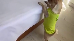 Thumbnail for This little guy hates niggers