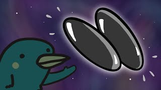 Thumbnail for The Sound of those Buzzing Magnets | Physics for the Birds
