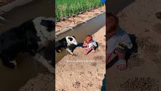 Thumbnail for This Dog Picked The Perfect Home To Wander Into | The Dodo