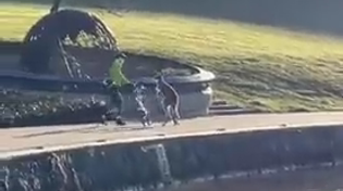 Thumbnail for Paul neri and his bike attacked by kangaroo 