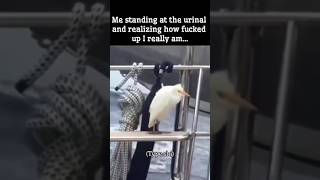 Thumbnail for Me standing at the urinal and realizing how f***ed up I really am... | FunnyMemeSpot Backup