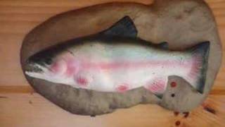 Thumbnail for Demon Possessed Singing Trout | nisc5298
