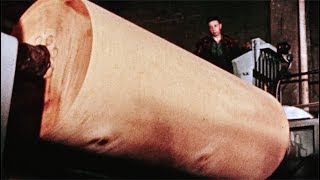 Thumbnail for Manufacturing plywood boards: then and now | Victoria and Albert Museum