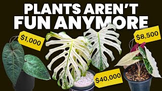 Thumbnail for The grindification of houseplants | Plants in Jars