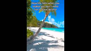 Thumbnail for How life feels when you realize you don’t need fun to have alcohol | FunnyMemeSpot Backup