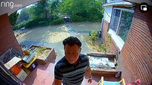 Thumbnail for Niggers with tasers are worst than shark with lasers