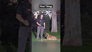Thumbnail for Relationship building is super important. But for high level work the dog needs a high level reward. | Modern Malinois