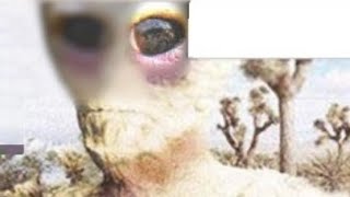 Thumbnail for Alien Photo Shuts Down 4Chan in 2017 Discovered | Carl Crusher