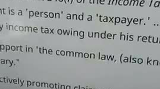 Thumbnail for Only People, Human Beings And Homo Sapiens Have To Do Taxes Not Man Or Woman.
