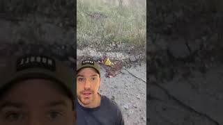 Thumbnail for Dealing with land mines | Preston Stewart 