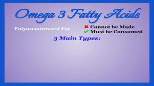 Thumbnail for Nutrition Tier Lists: Seafood