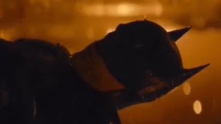 Thumbnail for My cat thinking he's safe hiding under the bed, but I want to pet him | FunnyMemeSpot Backup