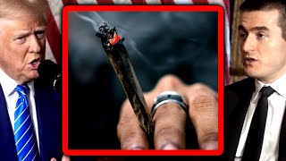 Thumbnail for Donal Trump on marijuana | Donald Trump and Lex Fridman | Lex Clips