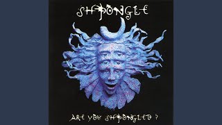 Thumbnail for Divine Moments of Truth | Shpongle - Topic