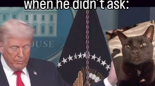 Thumbnail for Trump exposes the worst terrorists of them all