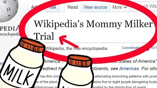 Thumbnail for What Mental Breakdown Of a Wikipedia Moderator looks like | Vince Vintage