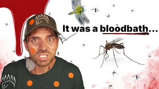 Thumbnail for I tested the Internet’s most popular Mosquito Repellents. | The Bear Essentials