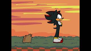 Thumbnail for Shadow Meets a Hedgehog | SilverSibs