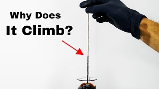 Thumbnail for The World's Longest Ferrofluid Chain | The Action Lab