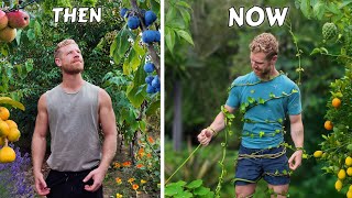 Thumbnail for I abandoned my food forest… Here’s what happened | TheKiwiGrower