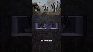 Thumbnail for Joseph Burrus’ Fatal Coffin Escape 😵 | Zack D. Films