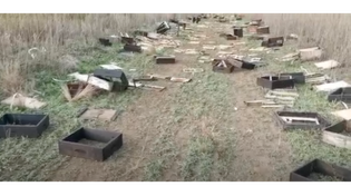 Thumbnail for Destroyed Beehives
