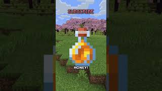 Thumbnail for how to never be hungry in minecraft (and maybe irl idk i havent tested that yet) | camman18
