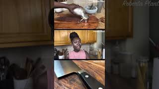 Thumbnail for Low Vibrational Meals | Berta Plant