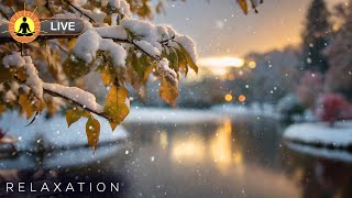 Thumbnail for This live stream has ended. We will release a new version of this live stream soon. See link below | Yellow Brick Cinema - Relaxing Music