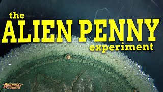 Thumbnail for The Alien Penny Experiment | Reuben Mahaffy
