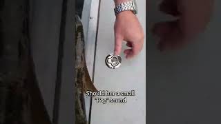 Thumbnail for STABBING Fish With Large NEEDLES Is Good!!! 😲 #shorts | FOX FISHING 4K (SUB FOR 4K VIDEOS!)