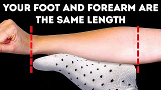 Thumbnail for 100+ Body Facts I Can't Forget After Googling | BRIGHT SIDE
