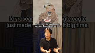 Thumbnail for A Single Eagle BANKRUPTED These Scientists #shorts | Andy Jiang