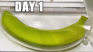 Thumbnail for Banana After 180 Days In Epoxy Resin | What Happened? | Waterjet Channel - Daniel Adair