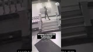 Thumbnail for Brooklyn neighborhood on edge as police search for man who followed woman into building, choked her | Eyewitness News ABC7NY