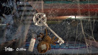 Thumbnail for Dona Aranha 🗝️ Tribo da Periferia (6º Último) | Tribo da Periferia