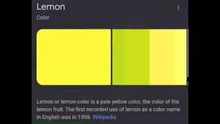 Thumbnail for What colour is an orange? | Youth 