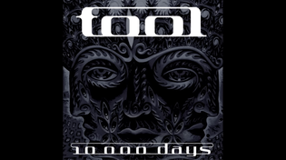 Thumbnail for TOOL - The Pot