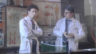 Thumbnail for Bruiser - West Country Scientists