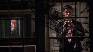 Thumbnail for Thora Birch | American Beauty