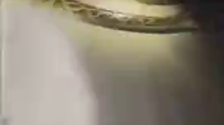 Thumbnail for FL man captures 19 foot burmese python