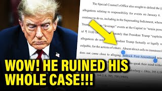Thumbnail for Trump Makes BIG ADMISSION in Court Filing by ACCIDENT | MeidasTouch