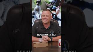Thumbnail for Should You Get a Belgian Malinois? | American Standard Dog Training