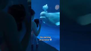 Thumbnail for Beluga whale spooked little girl 😂 | Rowdy Wildlife