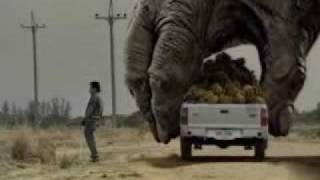Thumbnail for Two Giant Gorilla plays the car | TheKoopZilla