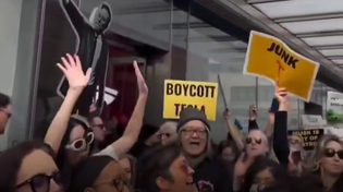 Thumbnail for Tesla protesters 